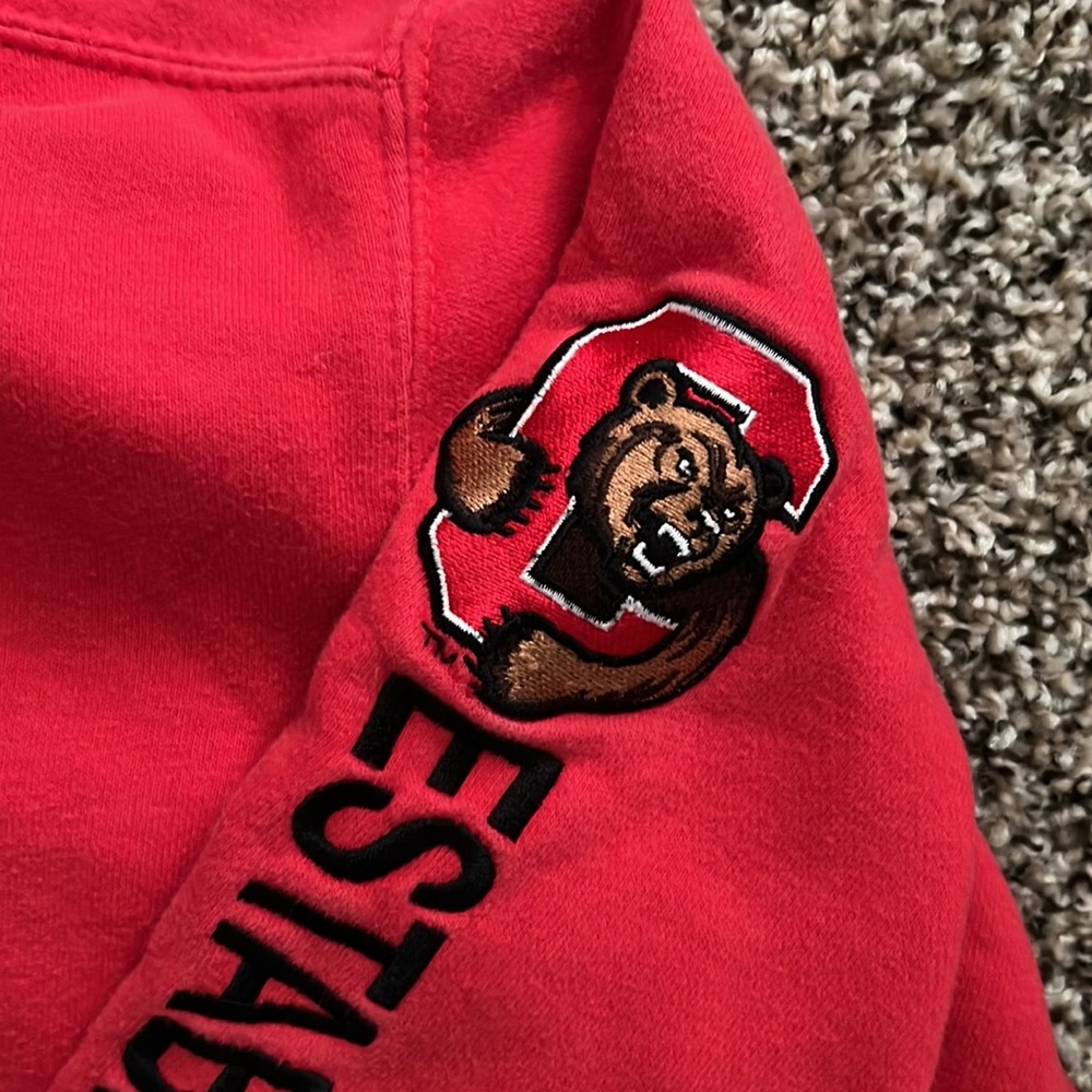 Cornell Embroidered Red Champion Hoodie Sweatshirt - Medium - Picture 3 of 5